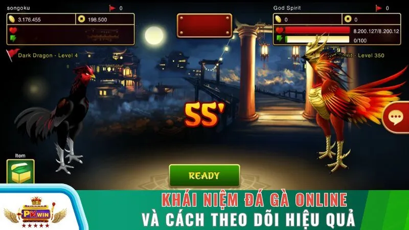 Khái niệm đá gà online và cách theo dõi hiệu quả