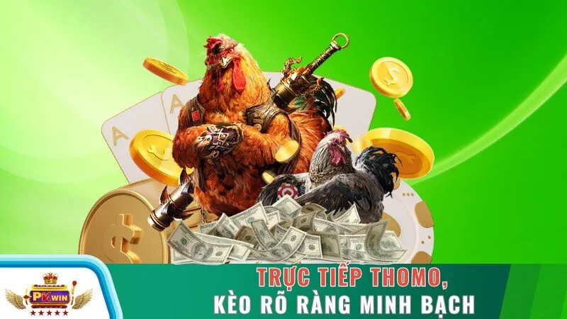 Trực tiếp Thomo, kèo rõ ràng minh bạch