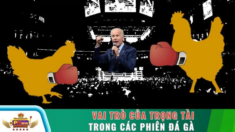 Vai trò của trọng tài trong các phiên đá gà